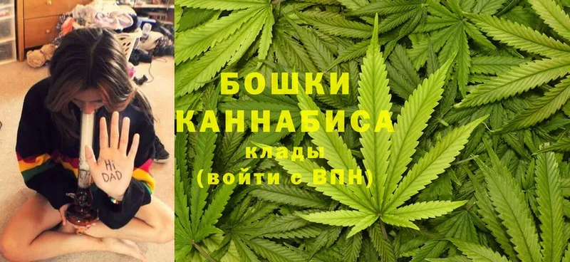 mega   Кореновск  Бошки марихуана OG Kush 